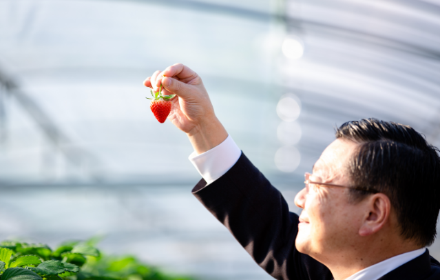 苺を持つ古川康