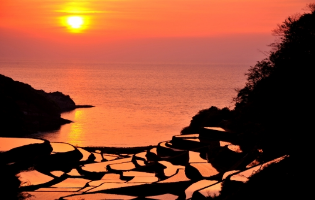 棚田の夕景