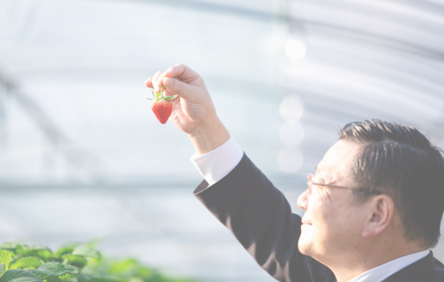 苺を持つ古川康